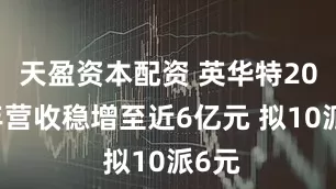 天盈资本配资 英华特2024年营收稳增至近6亿元 拟10派6元