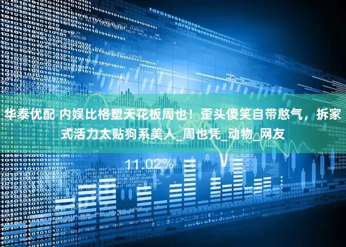 华泰优配 内娱比格塑天花板周也！歪头傻笑自带憨气，拆家式活力太贴狗系美人_周也凭_动物_网友