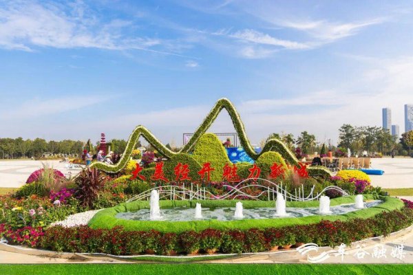 迎客松配资 武汉经开区菊花天团已就位 等你来打卡